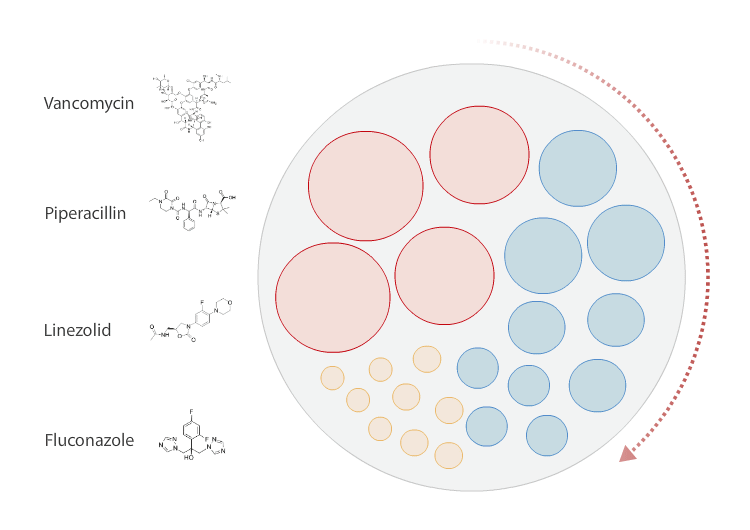 Macroporous adsorption resin