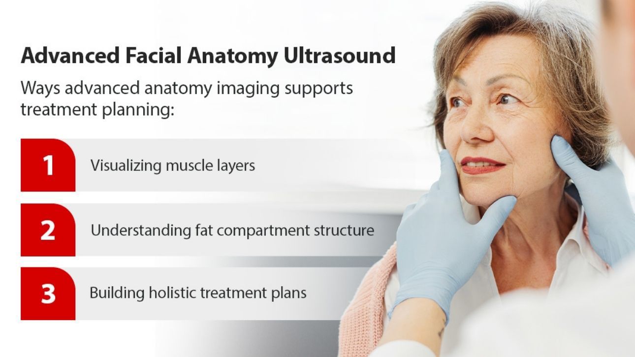Advanced Facial Anatomy Ultrasound