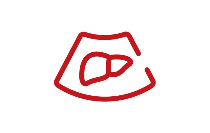 Abdomen Liver Icon