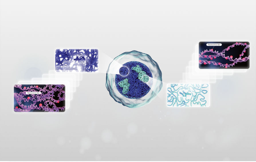 HMC Channel: Accurate Identification of Abnormal WBCs in Peripheral Blood key visual