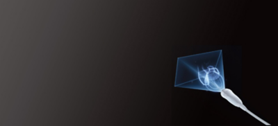 transducer displaying detailed 3D heart images with eZST+ technology