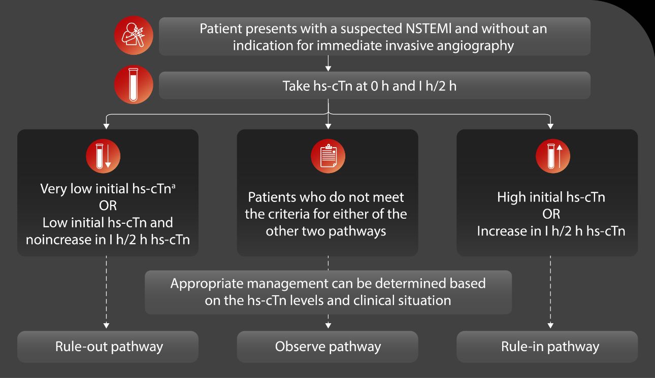hs-cTnl: Empowering Heart Risk Assessment
