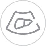 consona-n5-abd-icon-1.0-en