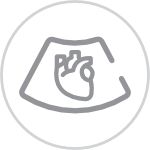 consona-n5-cardi-icon-1.0-en