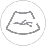 consona-n5-vascular-icon-1.0-en