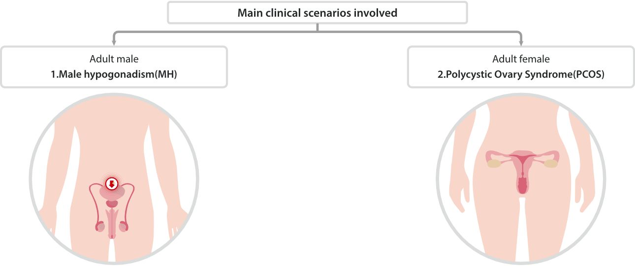 Clinical Application of Testosterone