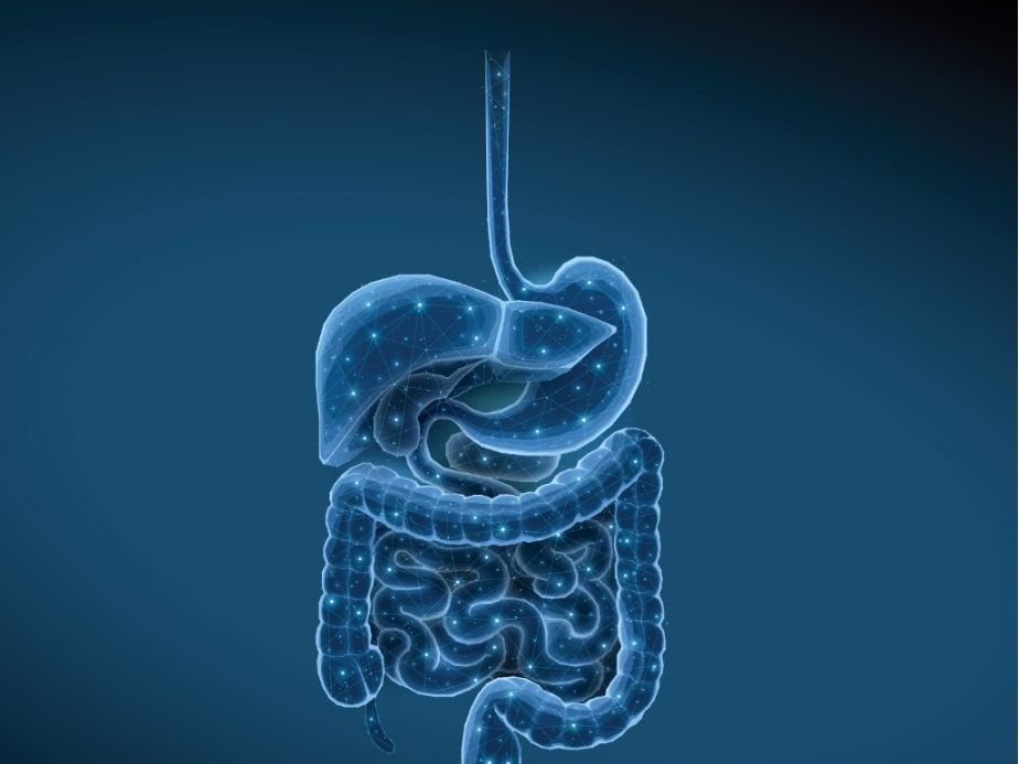 Gastro blue graphic