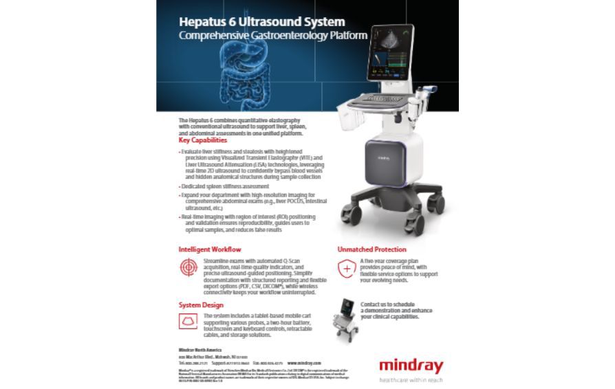 Hepatus 6 flyer