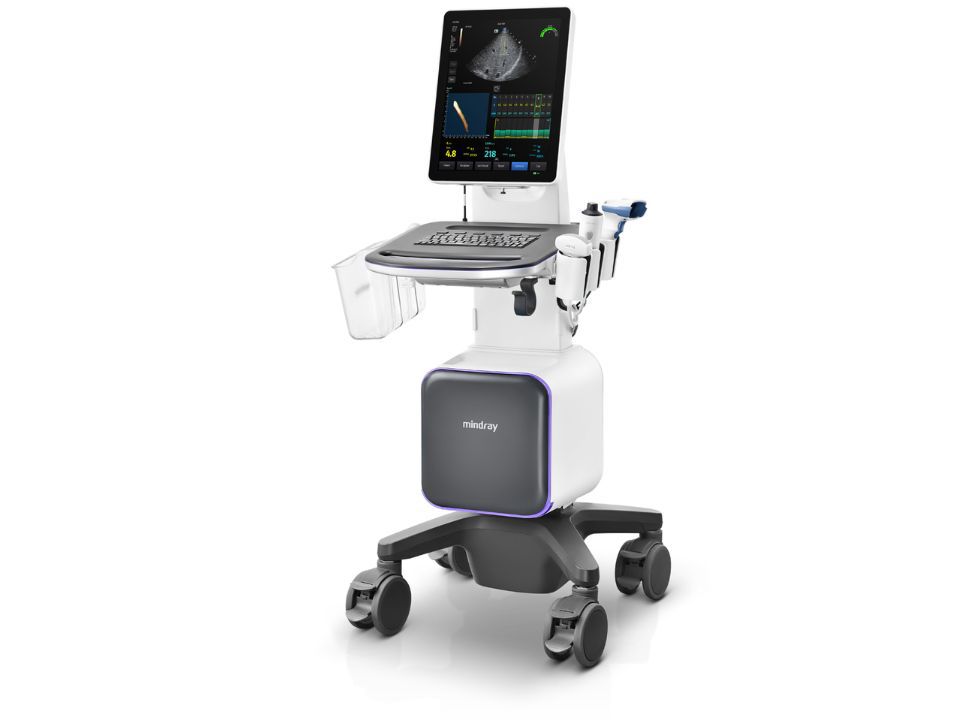 Hepatus-6