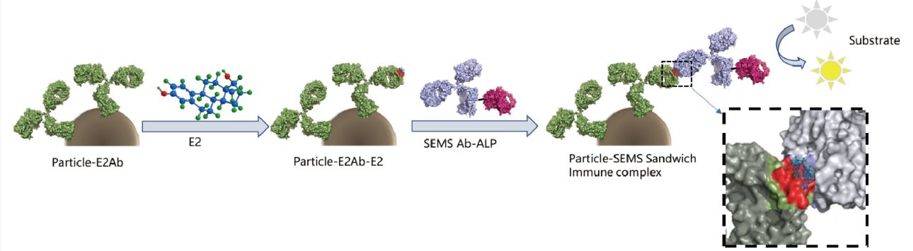 Mass Spectrometry (MS)