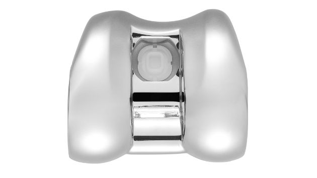 Femoral Component - classic