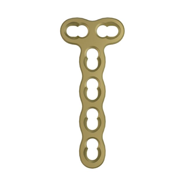 Locking Plate - Foot