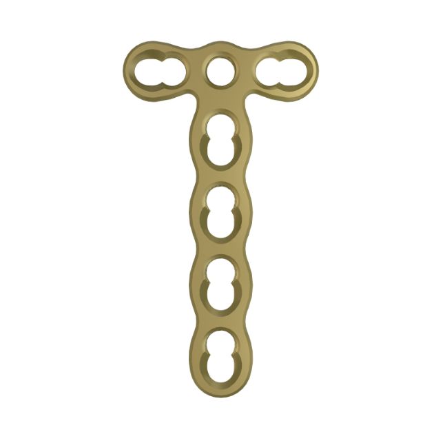 Locking Plate - Foot