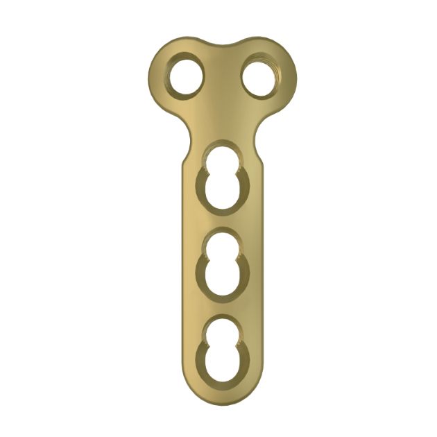 Locking Plate - Foot