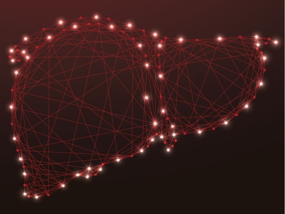 Liver red graphic
