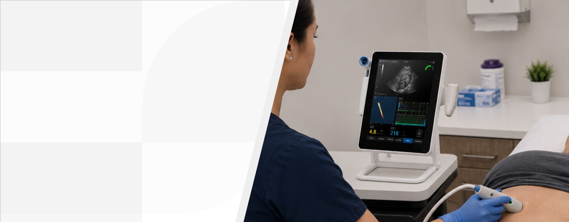 Mindray Ultrasound Hepatus 5