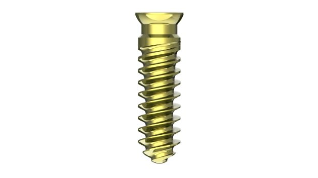 MS Self-tapping Screw Ⅰ (VA)