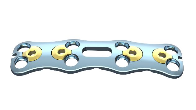 MS Anterior Cervical Plate System