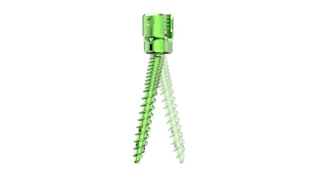 MS MIS Posterior Pedicle Screw System (Cemented) - MS Mis Polyaxial Pedicle Screw