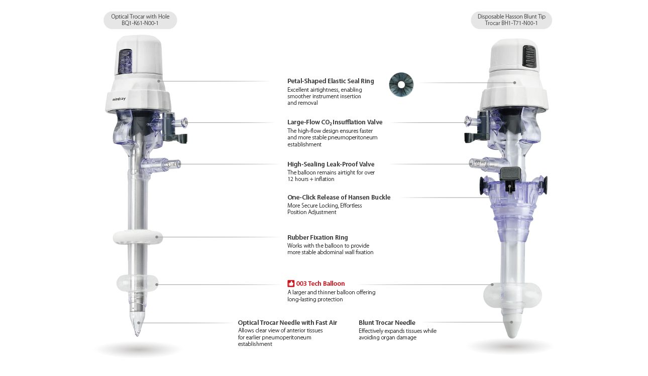 see-the-safety-touch-the-ease03