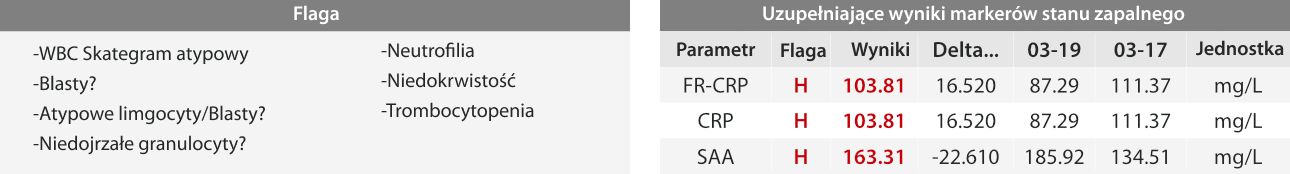 wyniki-morfologii-krwi-z-serii-mindray-bc-6000-2